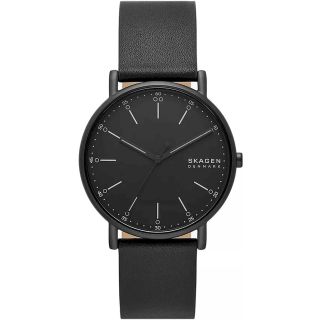 SKAGEN Signatur SKW6902 Men's Watch / silver (SKW6902)