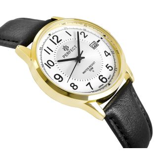 PERFECT Men's Watch C710T-09 / black (C710T-09)