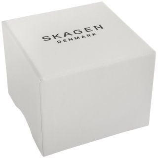 SKAGEN Signatur SKW6902 Men's Watch / silver (SKW6902)