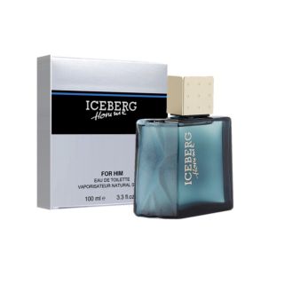 Iceberg Homme Perfume EDT 100ml (8057714450012)