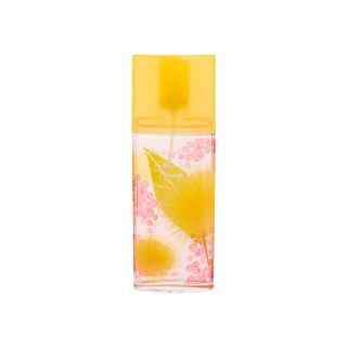Elizabeth Arden Green Tea EDT 100ml (7775562294244)