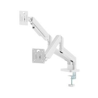 Gembird MA-DA2-06-W Mount for 2 monitors 17 " -32 " / White (MA-DA2-06-W)