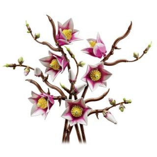 LEGO 11510 Botanicals Magnolia Branches Constructor (11510)