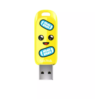 SanDisk SDCZIF-064G-G46 Flash Drive 64GB (SDCZIF-064G-G46)