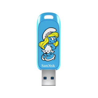 SanDisk SDCZIS-256G-G46 USB Flash Drive 256GB (SDCZIS-256G-G46)