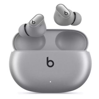 Beats Studio Buds+ Wireless Earbuds Silver Wireless Headphones (MT2P3ZM/A)