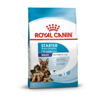 Royal Canin SHN MAXI STARTER MOTHER&BABYDOG 15 kg