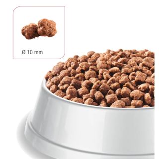 BEWI CAT adult fish 20kg