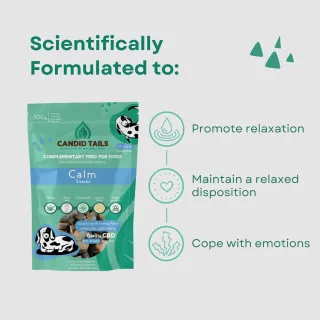 Calm Snacks - 300mg de CBD per pack