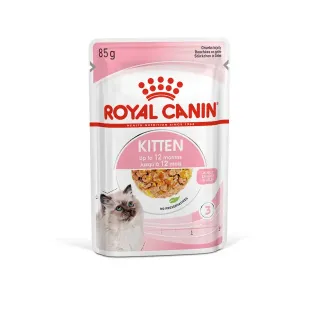 Royal Canin FHN Cat Kitten Instinctive Jelly 12x85 g