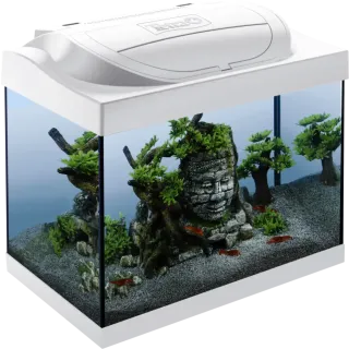Akvaarium Tetra Starter Line 30 L LED valge