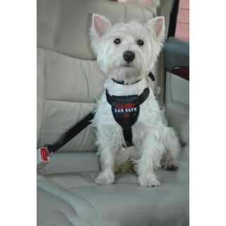 Company of Animals Clix Car Safe traksid XS