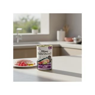 Dibaq Natural Moments DOG ADULT TURKEY WITH RASPBERRIES 380g