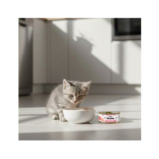 Dibaq Sense KITTEN Chicken 70g