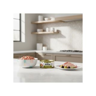 Dibaq Sense CAT Iberian Pork (sterilized) 70g