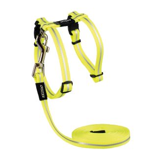 Cat harness&lead AlleyCat Dayglo 24-40cm/1,8m
