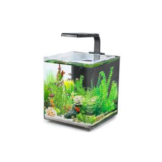Akvaarium AQUACLEAR DESKTOP TANK AC10 9.4L 243x203x233mm