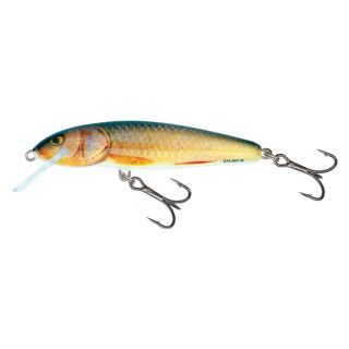 Voobler Minnow 6F 6cm/4g/0.5-1.0m RR