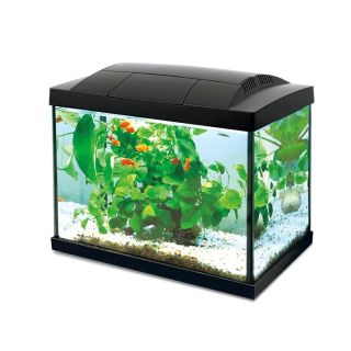 Akvaarium K-20 20L black 360x230x290mm