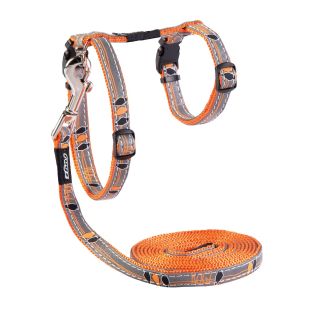 Kassi traksid+jalutusrihm NightCat Orange Birds On Wire 24-40cm/1,8m
