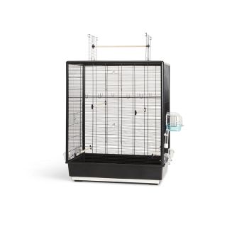 Linnupuur Primo 60 Open Empire 80x50x95cm must