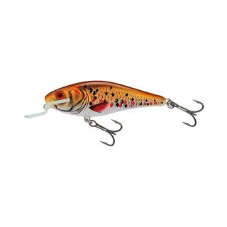 Voobler Executor SR 9cm/14.5g/1.5-3.0m HGK