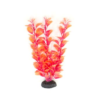 Plastist taim M006 30cm