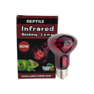 Terraariumi lamp Lucky Herp Basking Infrared R63 50W