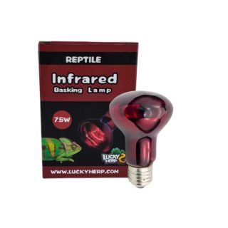 Terraariumi lamp Lucky Herp Basking Infrared R80 75W