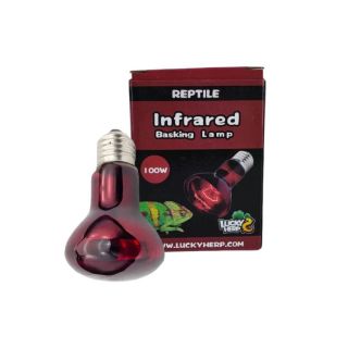 Terraariumi lamp Lucky Herp Basking Infrared R80 100W