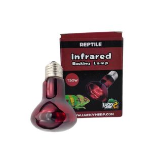 Terraariumi lamp Lucky Herp Basking Infrared R95 150W