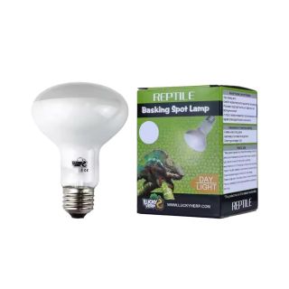 Terraariumi lamp Lucky Herp Basking Spot Day Light R63 50W