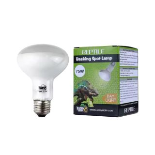Terraariumi lamp Lucky Herp Basking Spot Day Light R80 75W