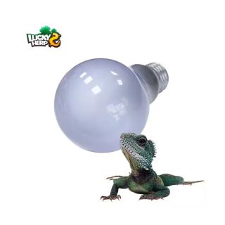 Terraariumi lamp Lucky Herp Neodymium Daylight A19 75W