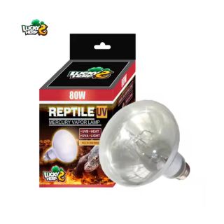 Terraariumi lamp Lucky Herp UVB Mercury Vapor Coated R95 80W
