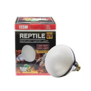 Terraariumi lamp Lucky Herp UVB Mercury Vapor Frosted R115 125W