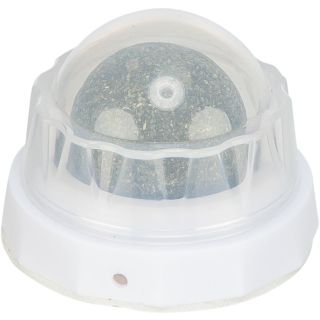 Kassi mänguasi Matatabi pall hoidjaga ø 5 cm