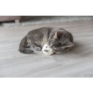 Kassi mänguasi Karu, plüüs, 8 cm
