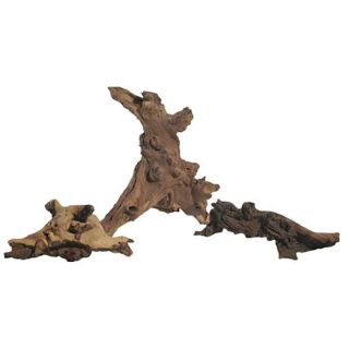 Akvaariumi triivpuu Mopani M 15-50cm