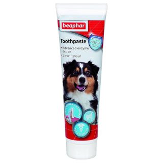 BE-Toothpaste - hambapasta 100g