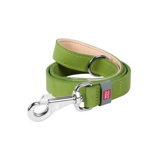 WAUDOG Classic Nahast Jalutusrihm Koerale, Roheline 20mm x 122cm