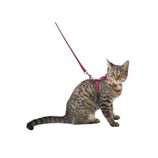 Bobby Traksid Kassile "Safe", Fuksia 25-38cm