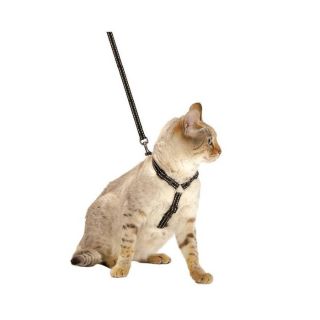 Bobby Traksid Kassile "Safe", Must 25-38cm