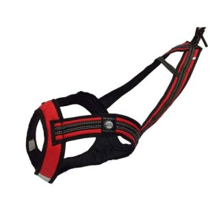 Zero DC Veorakmed Koerale (Canicross / Trekking / Jalgrattavedu) , "Faster" Punane SL