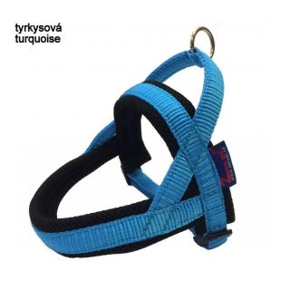 Zero DC Traksid Koerale (Flyball / Agility), Türkiis S