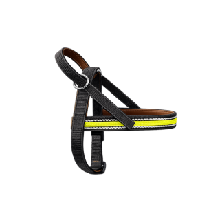 Onega Traksid Koerale Nailonist ja Nahast voodriga 40cm