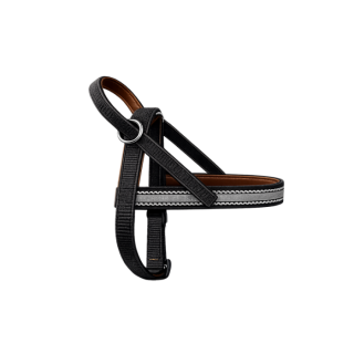 Onega Traksid Koerale Nailonist ja Nahast voodriga 45cm