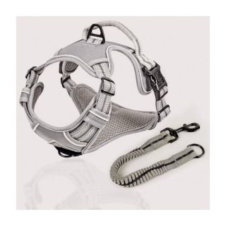 ne&no® Outdoor Sangaga Traksid Koerale + Tõmbeid pehmendav lisarihm | XL (Amstaff, Pitbullterjer)