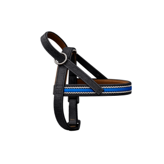 Onega Traksid Koerale Nailonist ja Nahast voodriga 70cm