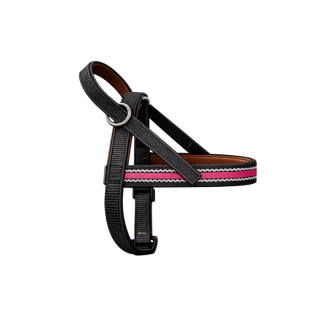 Onega Traksid Koerale Nailonist ja Nahast voodriga 65cm